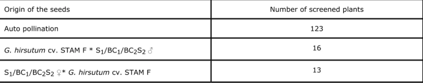 Table 1. Number of plants screened with SSR markers issued from the selfing and the  backcrossing to G