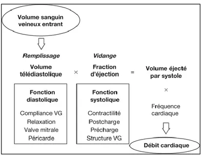 Figure  2  :  Principaux  déterminants  et  rôles  de  la  fonction  systolique  et diastolique  dans  la  genèse du débit cardiaque [3]