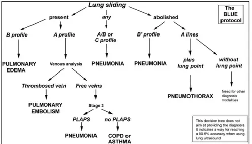 Figure  4:  Arbre  décisionnel  utilisant  l'échographie  pulmonaire  dans  le  diagnostic  des  dyspnées sévères d'après Lichtenstein [34]