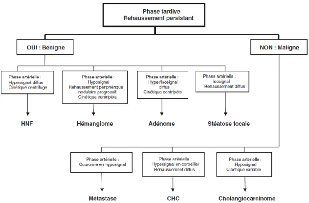 Figure 17: Algorithme permettant la caractérisation des lésions focales sur foie sain