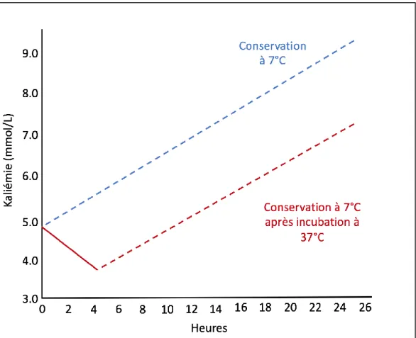 Figure 1 : Evolution de la kaliémie lors du stockage des prélèvements à 7°C 