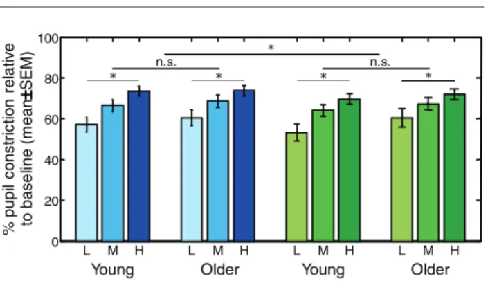 Figure 2.  Steady-state pupil constriction in young and older  individuals. Mean pupillary constriction relative to baseline ±  SEM in each age group
