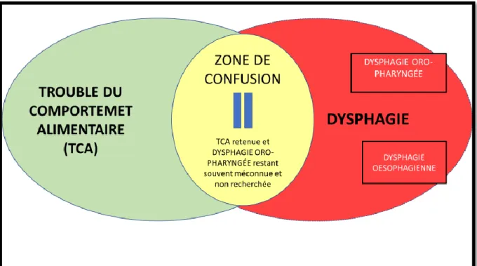 Figure 1: Relation entre « dysphagie » et « trouble du comportement alimentaire » 