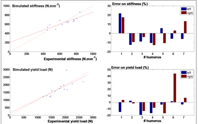 Figure 6. (Left) Experimental versus simulated stiffness and yield load for the 14 bone samples and for the density-dependent transversely isotropic model