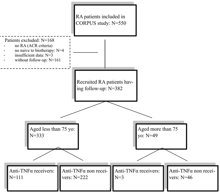 Figure 1: flow chart of the selection to include RA patients who receive anti-TNFα  16RA patients included in CORPUS study: N=550•Patients excluded: N=168 -no RA (ACR criteria) -no naive to biotherapy: N=4 -insufficient data: N=3 -without follow-up: N=161