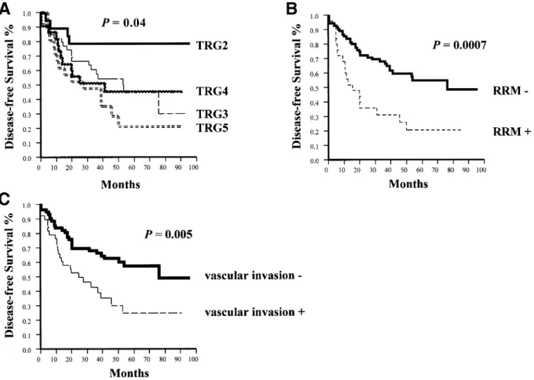 FIGURE 3. DFS of TRG, RRM, and vascular invasion studied by univariate analysis in a series of 104 patients with primary locally advanced rectal cancer treated with preoperative radiotherapy.