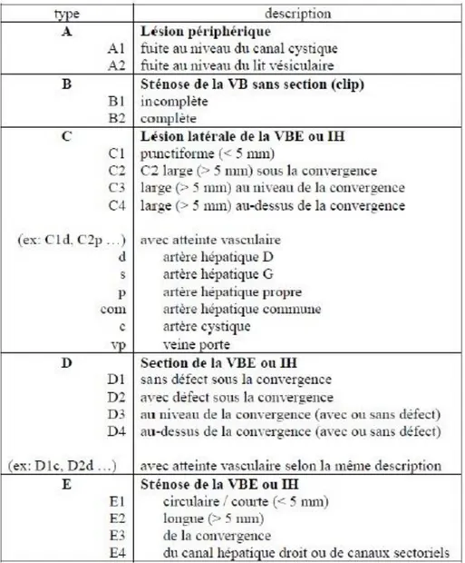 Tableau I.1 : Classification de Hanovre (22) 