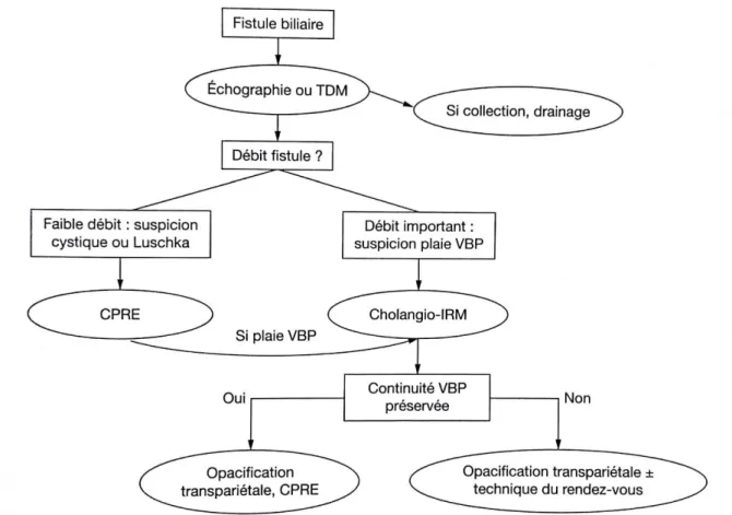 Figure I.8 : Stratégie diagnostique et place des examens d’opacification biliaire face à  une fistule biliaire postopératoire (22) 