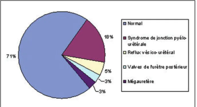 Figure  4.  Répartition  des  catégories  de  pyélectasies  anténatales  lors  des  échographies  (US)  des  2 ème   et  3 ème   trimestres,  en  fonction  du  diagnostic   postnatal.