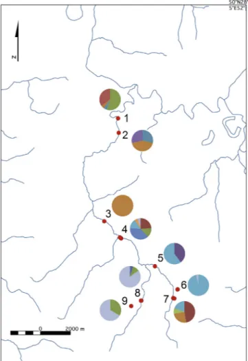 Fig. 1. Sampling design of the aquatic moss R. riparioides within the Lienne hydrographic network (southern Belgium)