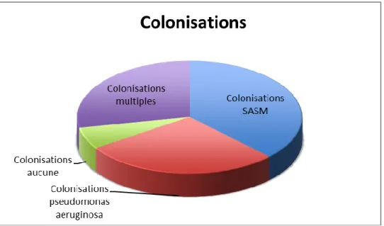 Figure 1 : Répartitions des colonisations respiratoires des patients de notre étude 