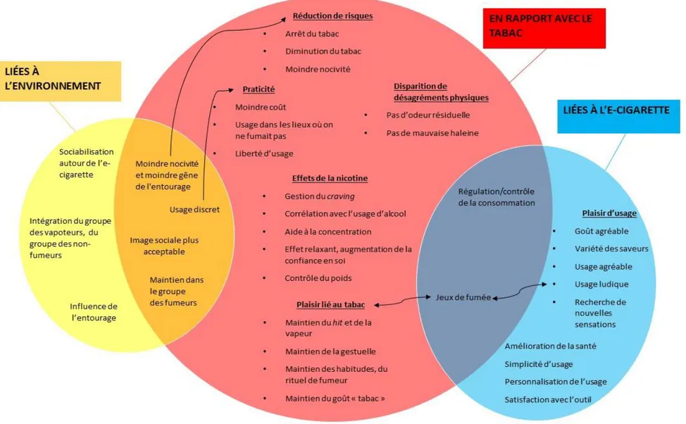 Figure 9 : Motivations à l’usage de l’e-cigarette décrites par les participants de l’étude