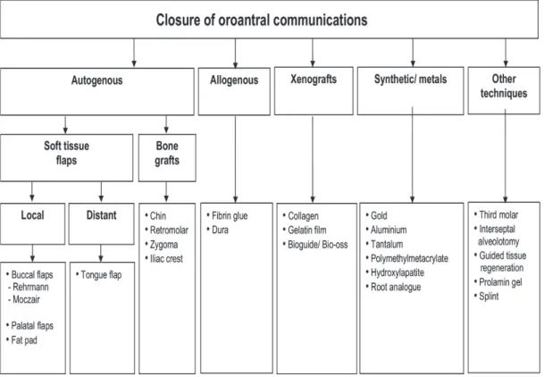 FIGURE 1. Overview of the treatment modalities of oroantral communications. Visscher, van  Minnen, and Bos
