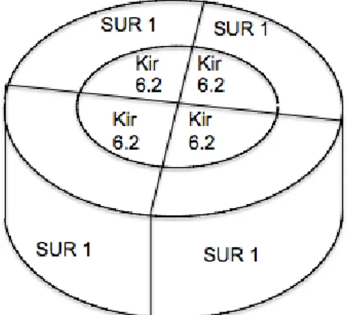 Figure 1 : canal potassique  ATP-dépendant : octomère constitué de 4  sous-unités Kir6.2 et 4 sous-unités régulatrices SUR1 