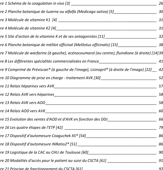 Figure 1 Schéma de la coagulation in vivo [3] ________________________________________  26  Figure 2 Planche botanique de luzerne ou alfalfa (Medicago sativa) [5] ____________________  30  Figure 3 Molécule de vitamine K1  [4]  ____________________________