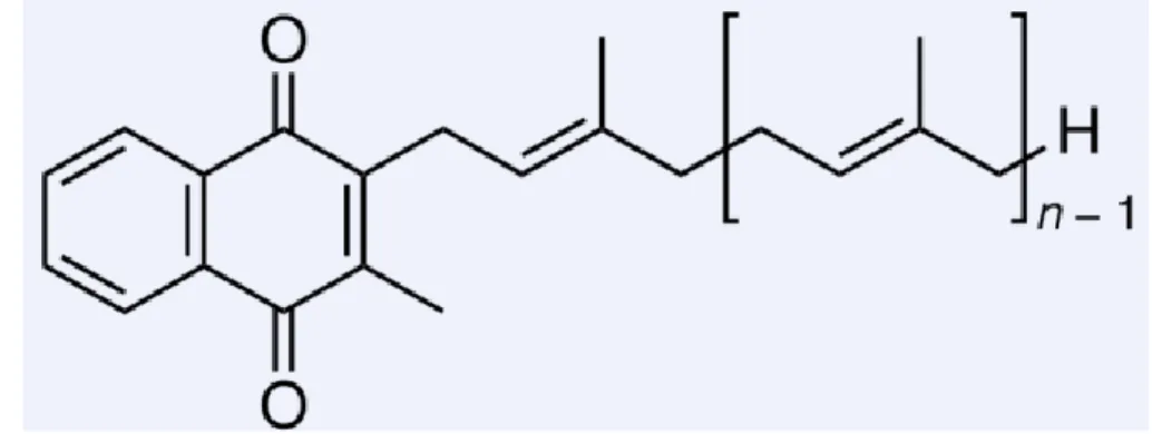 Figure 4 Molécule de vitamine K2 [4] 