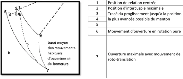 Fig. 5 - Diagramme des enregistrements sagittaux ou diagramme de Posselt