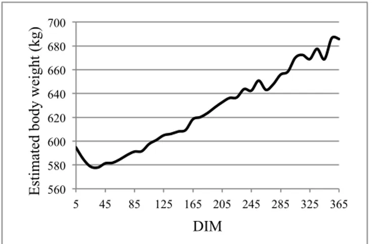 Figure 1: Daily body weight of dairy cows in first lacta- lacta-tion across days in milk (DIM) estimated from equalacta-tions  based on conformation traits