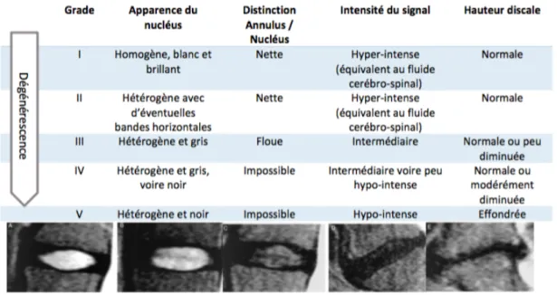 Figure 5: Classification de Schneiderman 