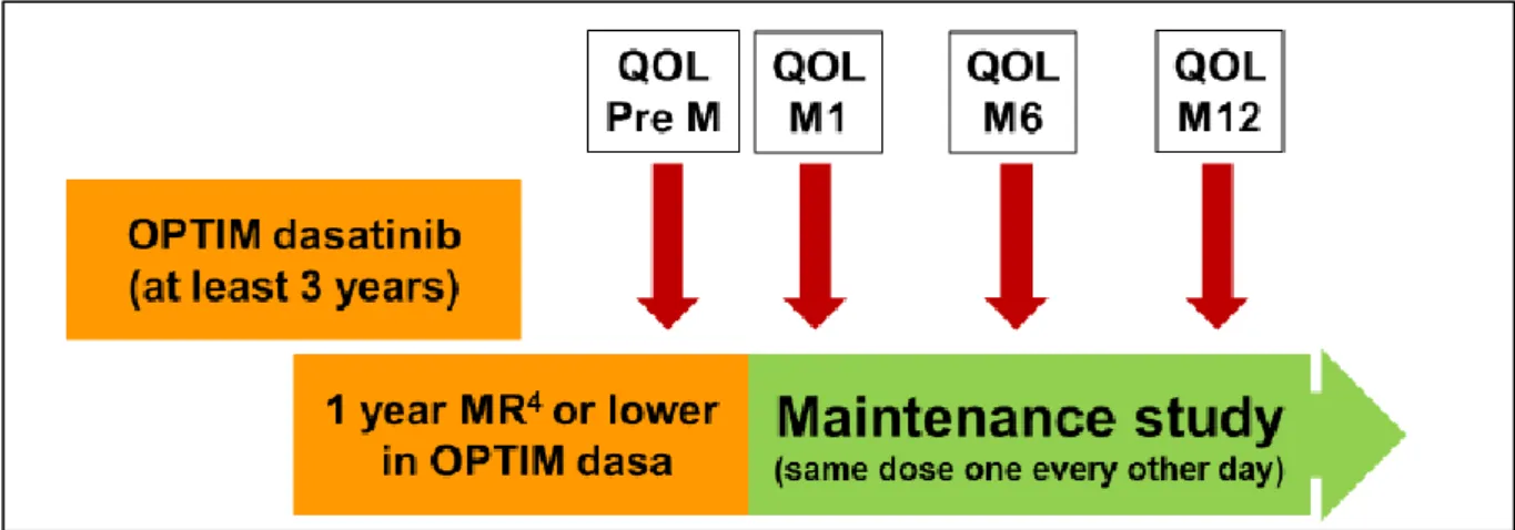 Figure 6 - Schéma résumé de la phase de maintenance du protocole Optim Dasatinib 