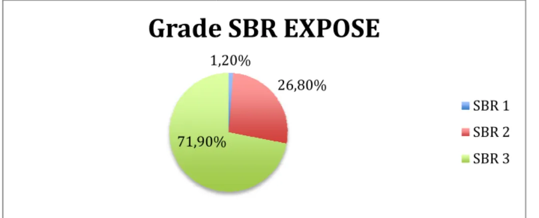 Figure 11 : Répartition du grade SBR che