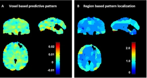 Fig. 2. Weight maps for GPR model predicting STAI- STAI-T based on patterns of activation to dynamic  emo-tional face processing using a two-folds  cross-vali-dation framework on the whole sample