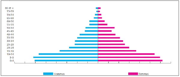 Figure 6 : Pyramide des âges de la population Malagasy par sexe en 2012-2013 