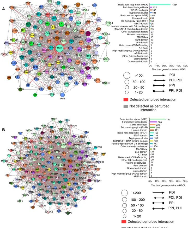 FIGURE 5:  Network of TFs in (A) ETV6-RUNX1 and (B) TCF3-PBX1 fusion. Left, circles represent TFs that have at least  one protein–DNA interaction (PDI) predicted as perturbed; colors correspond to the class of transcription factor