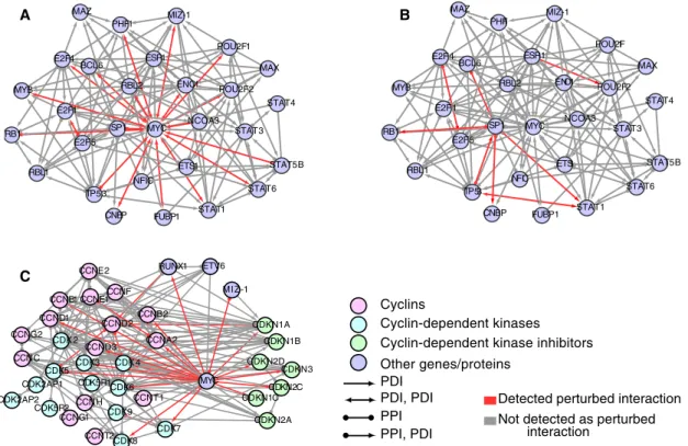 FIGURE 6:  MYC regulators and the cell cycle. Network showing HBCI interactions for transcription factors regulating  Myc