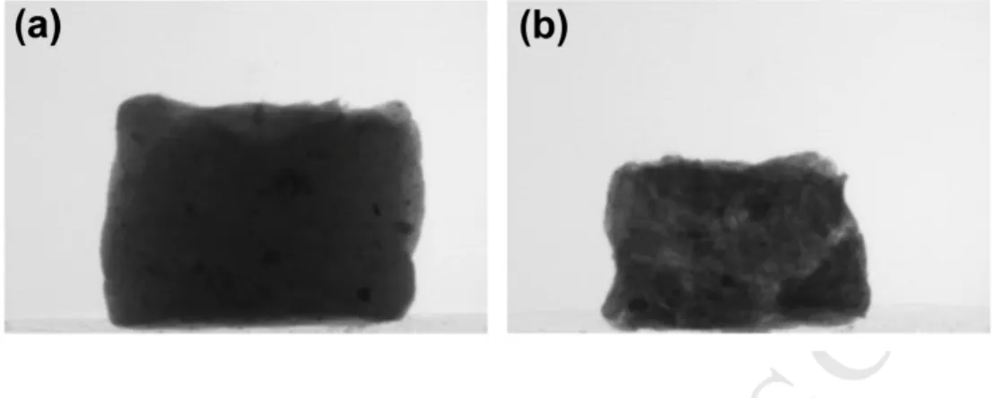 Fig. 2: Example X-ray images of untreated mixed sludge a) before and b) after drying. 