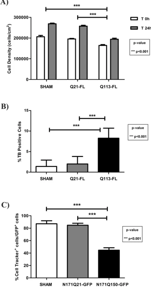 Fig. 1. Ectopic expression of mutant Q113-FL Htt affects the growth and viability of dopaminergic neuroblastoma SH-SY5Y cells