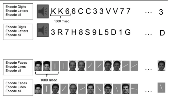 Figure 1. Description of the experimental design used for the verbal and visual modalities of the WM task