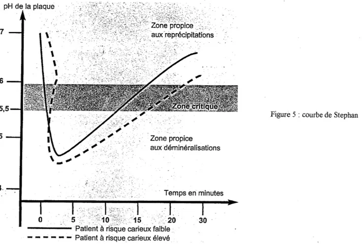 Figure 5 : courbe de Stephan 