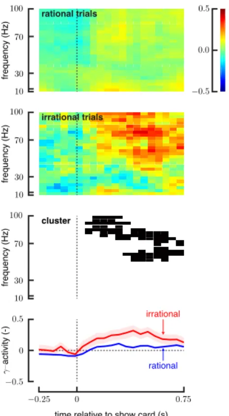 Fig. 3. Differences in the neural responses during the 250 ms before and 750 ms after the show card for precuneus