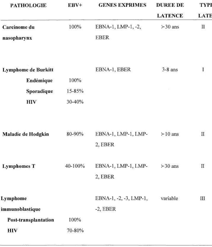 Tableau 1 : Principaux cancers associés  à  EBV (pour revue Rickinson and Kieff, 1996)