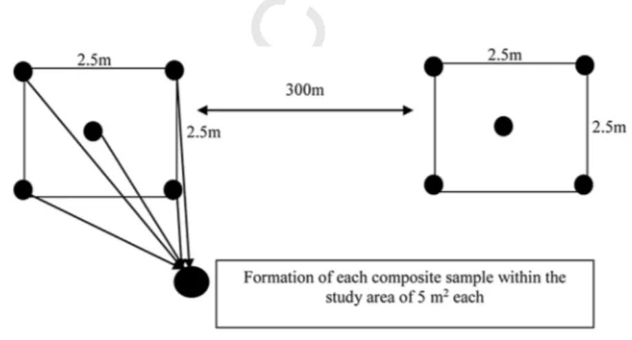 Fig. 1. Composite Sample Collection within the Sampling Sites.