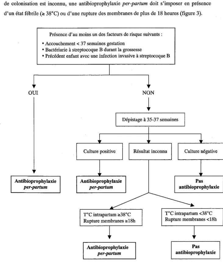 Figure  3 : algorithme pour la prévention des infections néonatales précoces à streptocoque  B