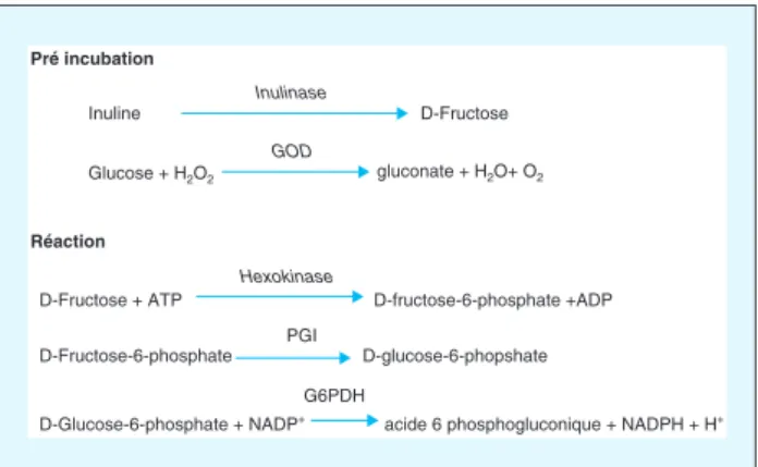 Figure 1. Méthode enzymatique de dosage de l’inuline utilisant hexokinase (selon [8], voir texte pour détails)