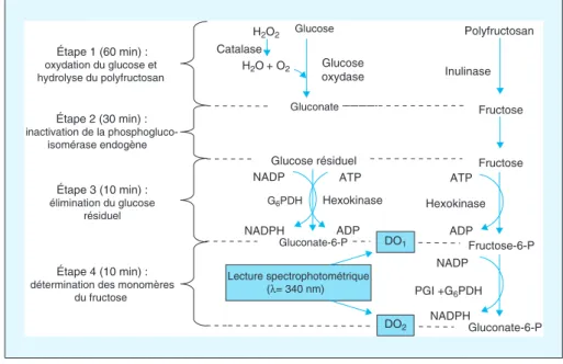 Figure 3. Méthode enzymatique de dosage de l’inuline selon Dubourg (selon [68] voir texte pour détails).