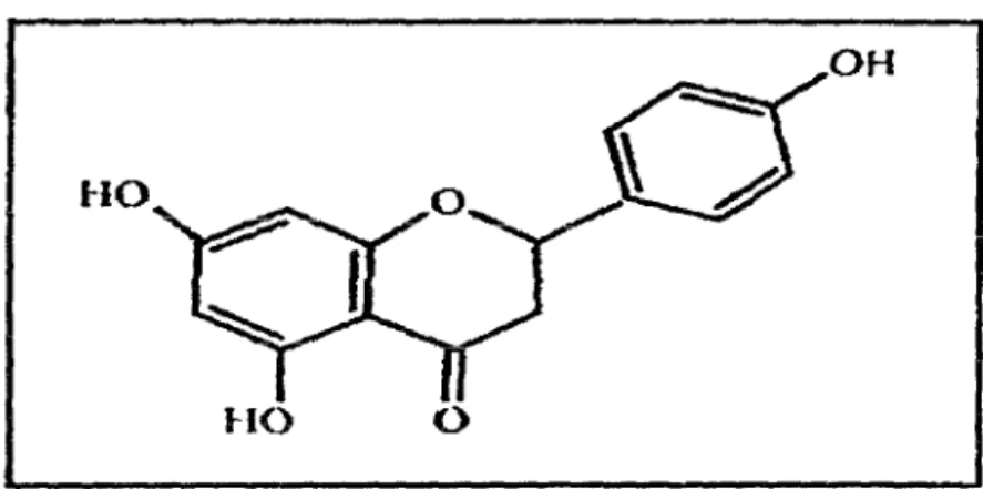 figure 2 : la naringénine 