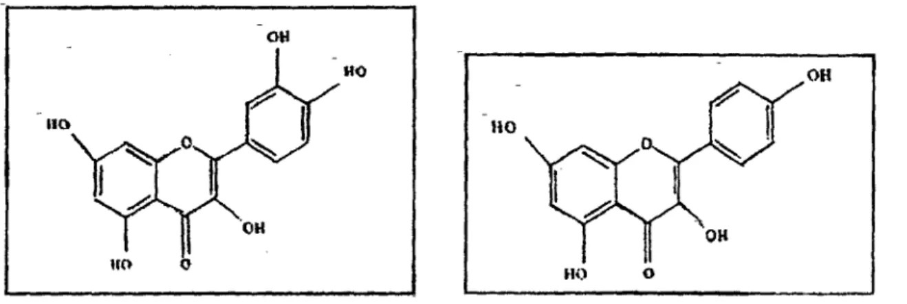 figure 3 :  La quercetine  figure 4 :  le kaempférol 