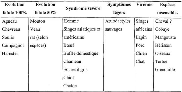 Tableau 1. Réceptivité de diverses espèces animales au  virus de la fièvre de la  Vallée du Rift  (d'après Préhaud 1997)