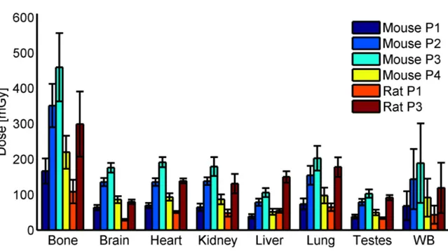 Figure 3.15: Organ doses derived from mFOV acquisitions in mice (3 sFOV, P1 to P4) and rats (5 sFOV, P1 and P3), WB=whole body