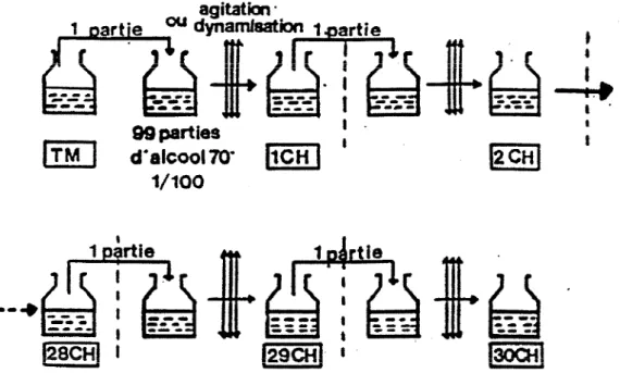 Figure 1 : schéma du principe de la dilution hahnemanienne. (30). 