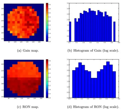 Figure 5. Maps of the gain and RON values measured on each illuminated subaperture of one of the 3 LGSW SH sensors.