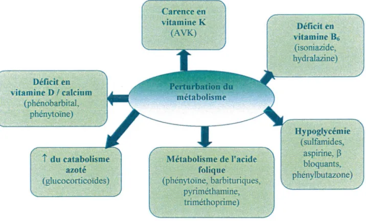 Figure 3.  Interactions des médicaments avec le métabolisme des nutriments  2.1- Les anticonvulsivants 