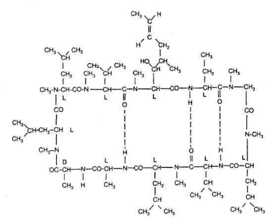 Figure 7. Formule chimique de la ciclosporine. (12) 