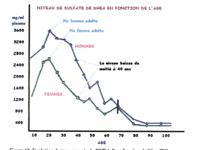 Figure 12. Evolution du taux sanguin du DHEA-S en fonction de l'âge [21) 
