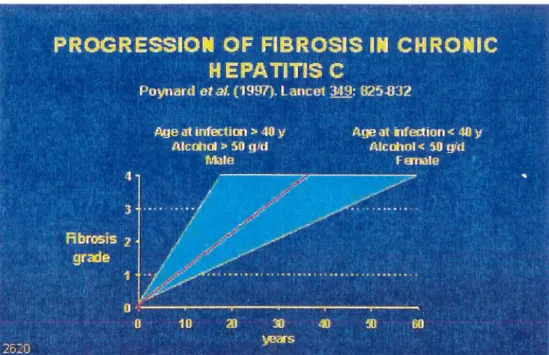 figure 17: Extraite de [124]. Progression de  la fibrose dans  l'hépatite chronique C