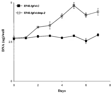 Fig. 1: In vitro cell growth rate. The EF43fgf-4.C and EF43.fgf-4.timp-2 cells (2 X 10 4 ) were cultured in serum- serum-free medium as described in &#34;Materials and Methods”